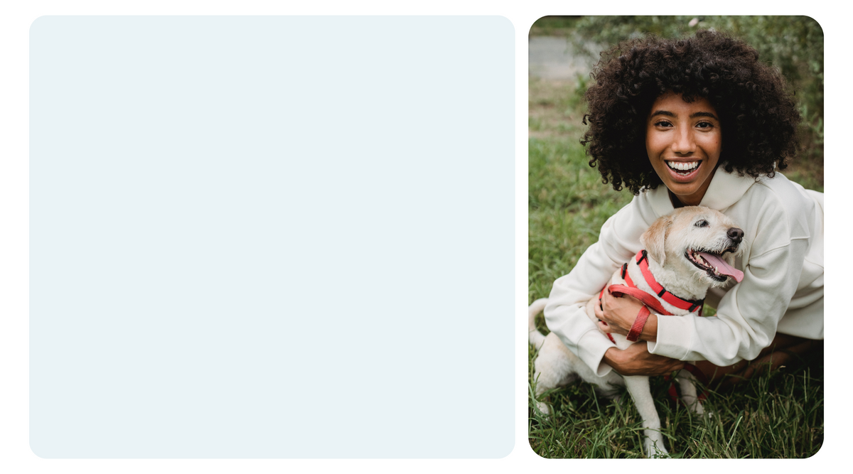Petaboutus-overlay.png